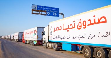 مصر تقدم أضخم قافلة مساعدات لقطاع غزة تنفيذا لتوجيهات الرئيس السيسى.. فيديو وصور