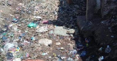 شكوى من تراكم القمامة بترعة عزبة على فهمى بالمنيا.. والمحافظة ترد