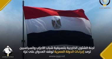 لجنة الشئون الخارجية بالتنسيقية ترصد إجراءات مصر لوقف العدوان على غزة