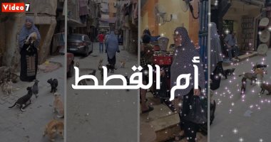 أم القطط.. وهبت حياتها لخدمة قطط الشوارع وعوضوها عن غياب الضنا