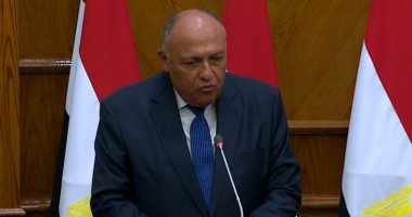 سامح شكرى من الأردن: يجب تفعيل حل الدولتين وتحقيق مطالب الشعب الفلسطينى