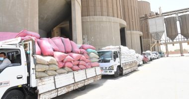  تموين الإسكندرية : ضبط عجز 18 طن قمح فى أحد صوامع التخزين