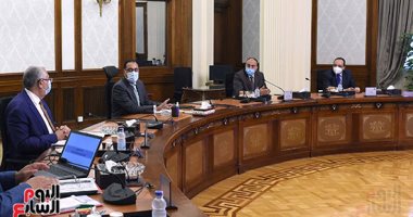 الحكومة: 27854 مستفيدا من المشروع القومى للبتلو بإجمالى تمويل 4.5 مليار جنيه