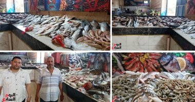 تعرف على تطورات الإنتاج المصرى من مشروعات الاستزراع السمكى.. بالأرقام