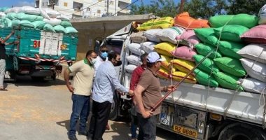 التموين تعلن توريد 3.6 مليون طن قمح لأول مرة منذ عشرات السنوات