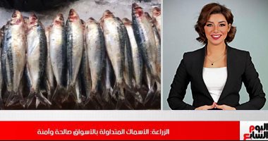 حقيقة وجود سمك فاسد بالأسواق وتأثير قانون التعليم على الثانوية.. فيديو