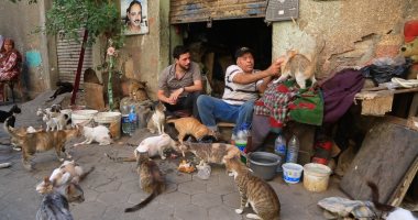 عم عاطف صديق حيوانات الشوارع فى مصر القديمة.. عمل عزاء لكلب بلدى مات وهو بيدافع عنه.. جيرانه عملوا عيد ميلاد لقطة من قططه.. ويؤكد: دول ناسى وأهلى اللى بحبهم وبيحبونى وبيدافعوا عنى من أذى البشر.. فيديو وصور