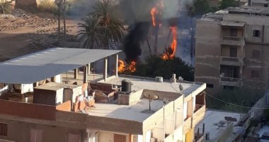 السيطرة على حريق محدود بشركة النيل لحليج الأقطان فى المحلة.. صور