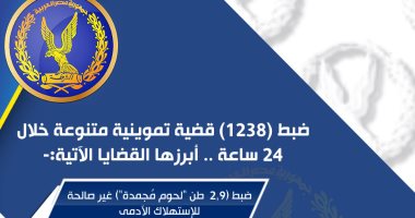 الداخلية تضبط أطنان من الأغذية الفاسدة قبل بيعها للمواطنين.. إنفوجراف