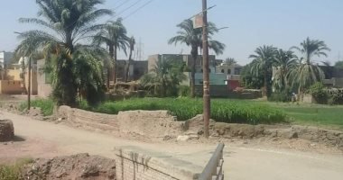 أهالى عزبة أبو قليعى بالأقصر يناشدون تحسين خدمات الكهرباء والطرق ..رئيس المدينة يستجيب