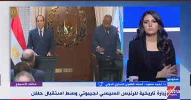 أستاذ قانون تجارى دولى: تطور غير مسبوق بعلاقات مصر وأفريقيا خلال الـ3 سنوات الأخيرة