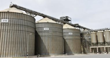 محافظ أسوان: توريد 87 ألفا و400 طن قمح حتى الآن