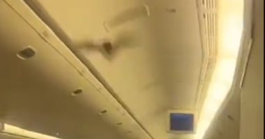 شاهد.. خفاش يجبر طائرة ركاب للهبوط اضطراريا فى نيودلهى.. اعرف الحكاية