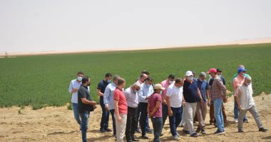 محافظ الوادى الجديد يتفقد أكبر مزرعة نعناع بالفرافرة على مساحة 2600 فدان.. صور