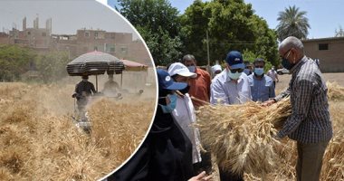 المحافظات تواصل استقبال "سنابل الخير" فى الشون والصوامع.. توريد 630876 طن قمح لشون وصوامع الشرقية.. و19263 طنا بالأقصر و173093 طنا بكفر الشيخ.. وحصاد 233 ألف فدان فى أسيوط.. صور