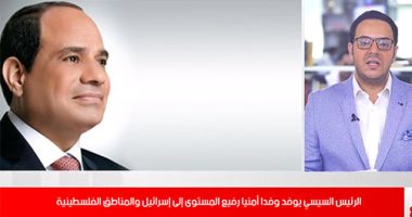 السيسى يوفد وفدا أمنيا رفيع المستوى لإسرائيل والمناطق الفلسطينية..تغطية عاجلة 