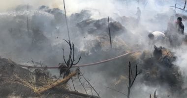 نفوق 22 ألف طائر فى حريق مزرعة دواجن بالشرقية