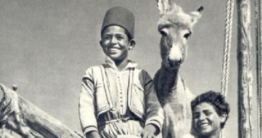 100 صورة عالمية.. 3 فى مهمة رسمية على ظهر مركب نيلى