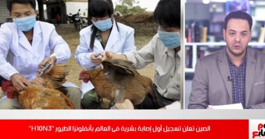 سلالة جديدة من إنفلونزا الطيور تظهر فى الصين.. الفيروس ينتقل من الدجاج للبشر "فيديو"