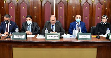 رئيس "تضامن النواب": علينا إبراز الإنجازات لمواجهة أعداء الوطن والمتربصين   