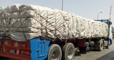 جمارك قسطل تمنع محاولة تهريب كمية كبيرة من الأرز المصرى الممنوع تصديره
