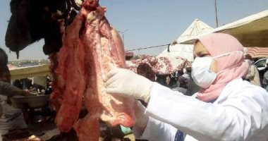 بيطرى الشرقية يحرر 27 محضر مخالفة ويضبط لحوم ودهون ودجاج وأسماك