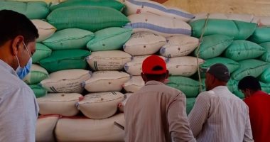 توريد 175051طنا و120 كيلو أقماح بـ20 موقعا بكفر الشيخ.. صور