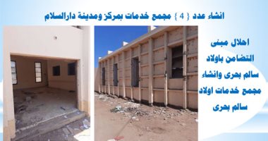قطار التنمية بمبادرة حياة كريمة يصل دار السلام بسوهاج.. إنفوجراف