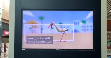 المطارات المصرية تشارك فى حملة حماية البيئة البحرية بالبحر الأحمر.. صور