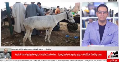 بعد العثور على حمير مذبوحة بالمنوفية.. "البيطريين": جلدها بـ500 دولار وتمنع الشيخوخة