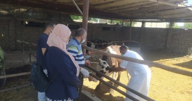 محافظ الدقهلية: مسح شامل لـ"البروسيلا والدرن" لمكافحة الأمراض الطفيلية بالحيوان