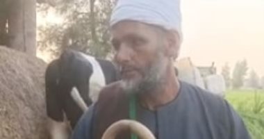 بقرة ضمن قائمة منقولات عروسة فى الدقهلية.. أهل العريس يكشفون التفاصيل.. فيديو