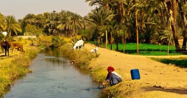 100 صورة عالمية.. الترعة والضوء وفتاة مصرية 