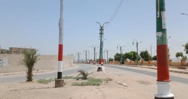 لوحة فنية.. علم مصر يزين أعمدة الإنارة بمداخل القرى بالمنيا.. صور و لايف