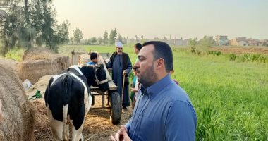 بدل النيش.. بقرة ضمن قائمة منقولات عروس فى الدقهلية.. والدة الفتاة: هدفى تأسيس مشروع صغير للعروسين.. فيديو نقل مستلزمات العروس فهم خطأ.. وأهالى المحافظة يطلقون مبادرات لتسهيل الزواج.. صور وفيديو