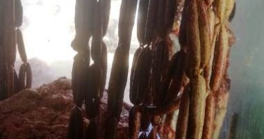 "بيطرى الشرقية" يحرر 32 محضرا ويضبط 3 أطنان دواجن ولحوم وكبدة فاسدة