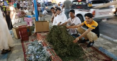 إقبال وطوابير المطافين لشراء التسالى ومنتجات البيئة فى مطروح.. فيديو وصور