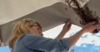 قلبها ميت.. أمريكية تحمل سرب نحل بيديها العاريتين دون التعرض لأذى.. فيديو وصور