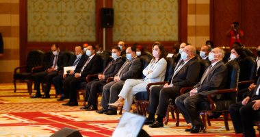 نائب رئيس الدستورية: الرئيس السيسى جذب انتباهنا لتحديات راهنة تواجه أفريقيا