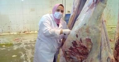 "الطب البيطرى" بالسويس تعلن عن ذبح المواشى القادمة من السودان بمجزر الآدبية