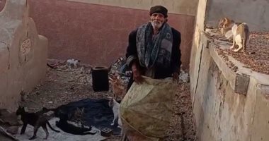 يصاحب القطط والكلاب منذ أربعين سنة.. عبداللاه يصنع الحياة فى قلب المقابر
