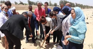 زراعة 2000 شجرة مثمرة بقرى مركزى أطفيح والصف بالجيزة.. اعرف التفاصيل
