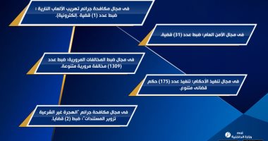 الداخلية تضبط 31 قضية في المنافذ خلال 24 ساعة.. إنفو جراف