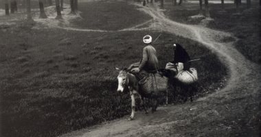 100 صورة عالمية.. تاجران يعبران القرى فيما يتحدثان؟