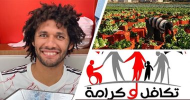 التليفزيون هذا المساء.. والد الننى يكشف تفاصيل انتقال اللاعب من أرسنال.. التضامن: إضافة 30 ألف مسن وأصحاب إعاقة شديدة وطلاب لتكافل وكرامة.. وزير الزراعة: صادرات مصر أصبح لها اسم فى العالم