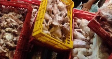 سقوط صاحب مخزن بحوزته 2 طن دواجن فاسدة فى القاهرة