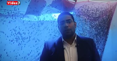 أغرب مزرعة فى مصر لتربية الذباب الأسود تنتج السماد العضوى ومستلزمات التجميل