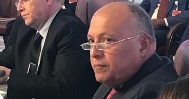 سامح شكرى يؤكد ضرورة وجود تضامن عربى واضح للتوصل لاتفاق حول سد النهضة