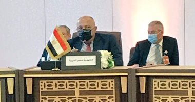شكرى يؤكد ضرورة توافر المناخ لإحياء المسار التفاوضى لإقامة دولة فلسطينية