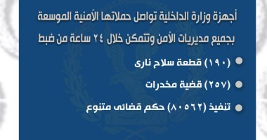 الداخلية تضبط 190 قطعة سلاح و257 قضية مخدرات خلال 24 ساعة.. إنفوجراف